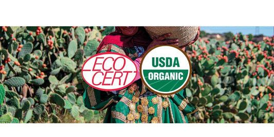 La certification ECOCERT et USDA Organic - Kinz