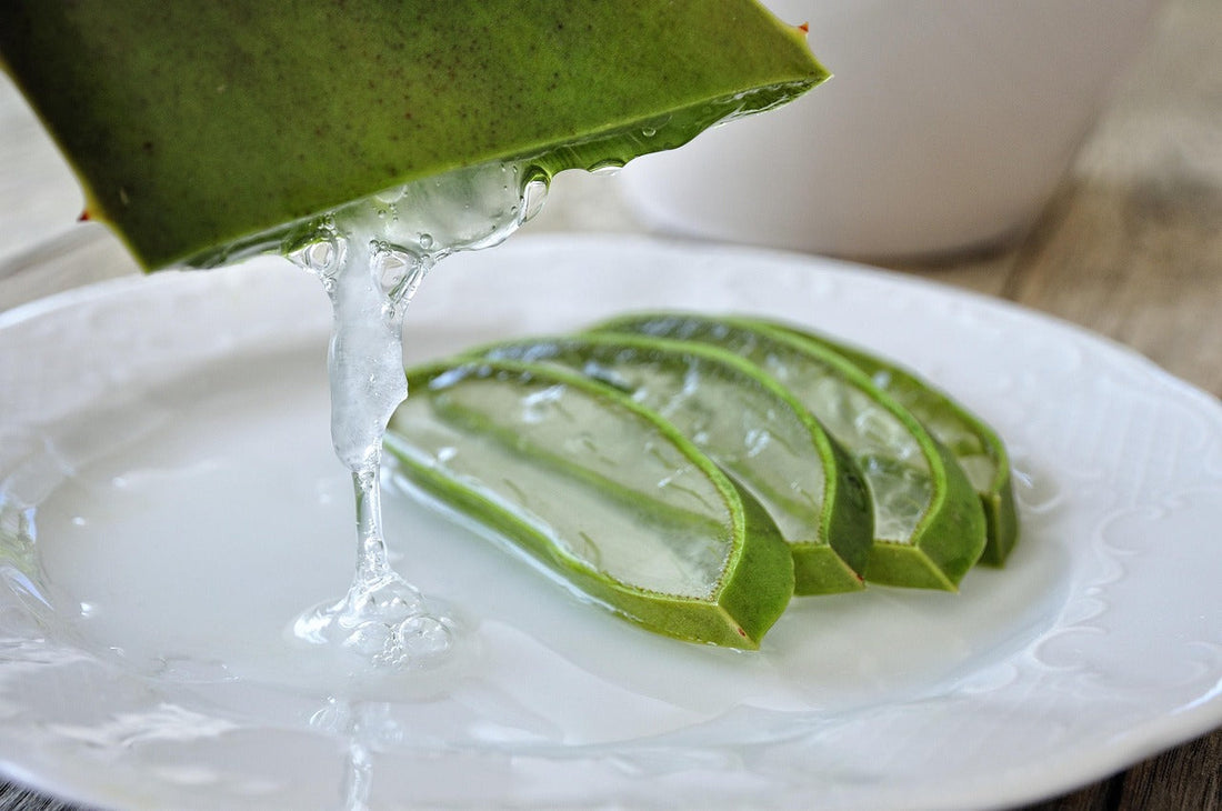 Aloe Vera Bio en cosmétique – Hydratation, apaisement et éclat naturel | Kinz