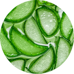 Aloe Vera Bio